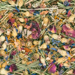 JR FARM ciotola di fieno con fiori mangime complementare NEW JR FARM ciotola di fieno con fiori mangime complementare NEW